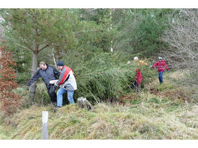 Es weihnachtet in St. Crescentius (Foto: Karl-Franz Thiede)